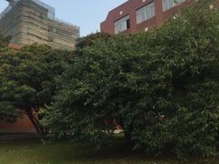 -南京特殊教育师范学院(燕子矶校区)