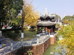 -八大山人梅湖景区