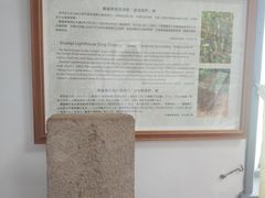 -鹅銮鼻灯塔