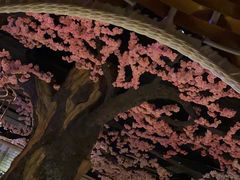 -蓝鲸湾汤泉(包河店)