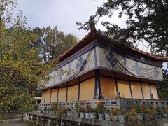 -罗布林卡