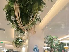-Aqua Oasis 水天堂(太湖中心mall店)