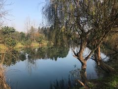 -贵阳市花溪国家城市湿地公园