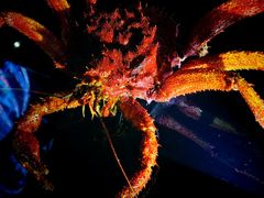 -同济大学四平路校区深海探索馆