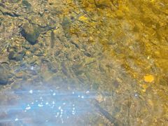 -雅鲁激流探险漂流