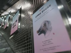 -动物园(地铁站)
