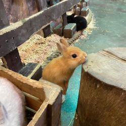 -Zoolung Zoolung动物主题公园(海信广场店)