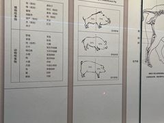 -良渚博物院
