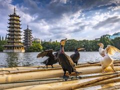 -桂林两江四湖景区