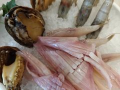 -菌子鲜汤野生菌锅