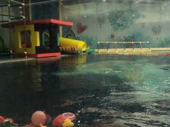 -龙格亲子游泳•水育早教运动中心