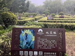 -洛阳市隋唐城遗址植物园