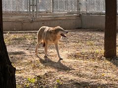 -石家庄市动物园