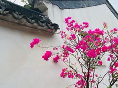 -留园