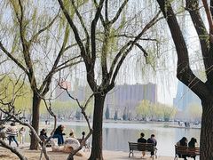 -泰丰公园