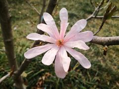 -国家植物园南园