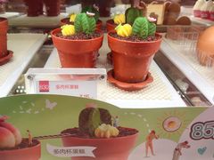 多肉杯蛋糕-85度C(上海广元店)