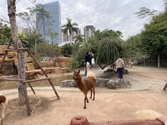 -灵玲国际马戏城