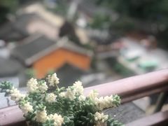 -尧上仡佬族文化村