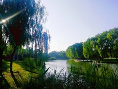 -大兴滨河森林公园