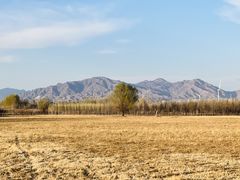 -野鸭湖国家湿地公园
