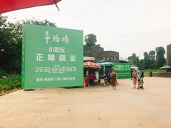 -秀丽东方