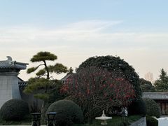 -西安华清御汤酒店