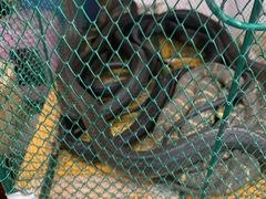 -青石桥市场北1-27号