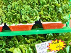 -同乐馆(阳光店)