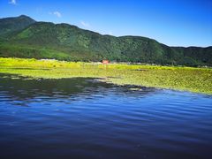 -腾冲北海湿地