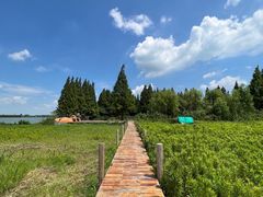 -动邦皮划艇·桨板·独木舟·团建户外运动俱乐部