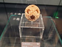 -广西壮族自治区博物馆