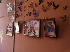 -胖子菜馆(花园餐厅店)