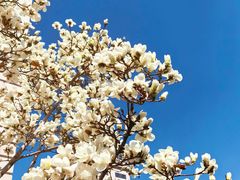 -锦什坊街叁拾伍号大厦