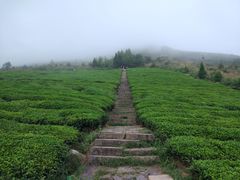 -东白山