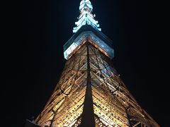 -东京塔海贼王主题公园