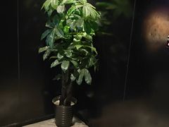 -W20 SHINING Party·K(悦豪和平路店)