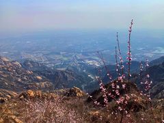 -北京凤凰岭