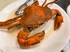 -南燕湾渔家码头
