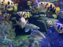 -成都浩海立方海洋公园
