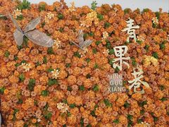 -青果巷历史文化街区