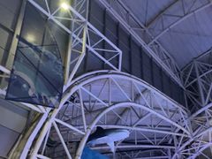 -烟台海昌鲸鲨海洋公园