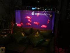 -柒Lounge(三里屯店)
