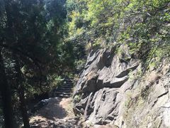 -北京鹫峰国家森林公园