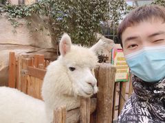 -杭州开元森泊度假乐园