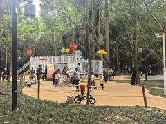 -南宁南湖公园