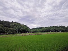 -韶山毛泽东同志故居