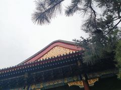 -颐和园