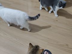 -番禺广场(市桥街道)