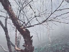 -灵山